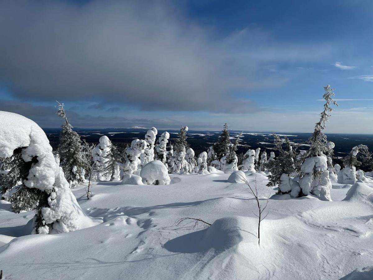 Apt 37 Rovaniemi Dış mekan fotoğraf